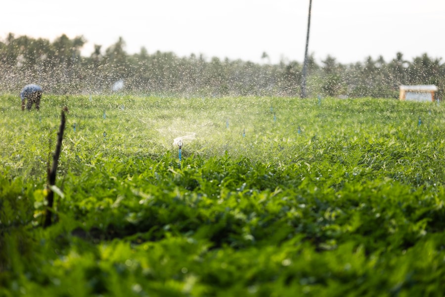 Irrigation